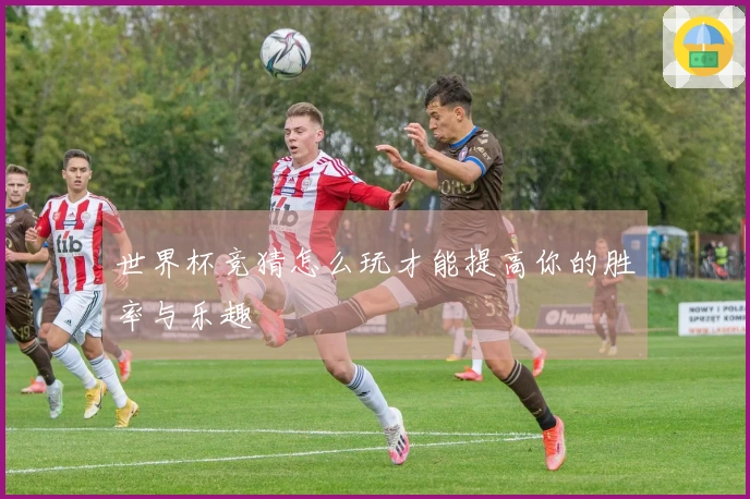 世界杯竞猜怎么玩才能提高你的胜率与乐趣