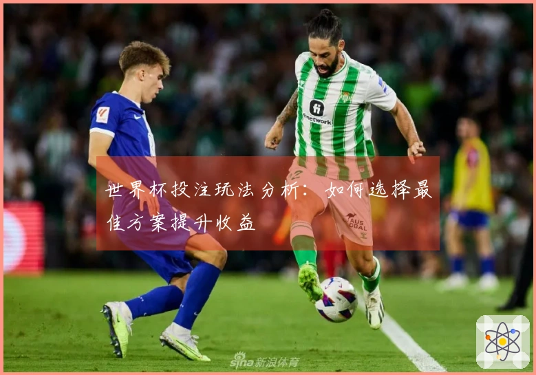 世界杯投注玩法分析：如何选择最佳方案提升收益