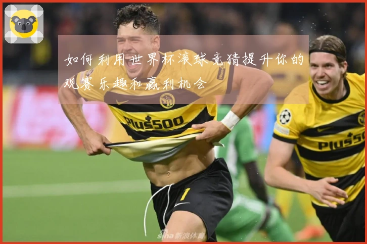 如何利用世界杯滚球竞猜提升你的观赛乐趣和赢利机会