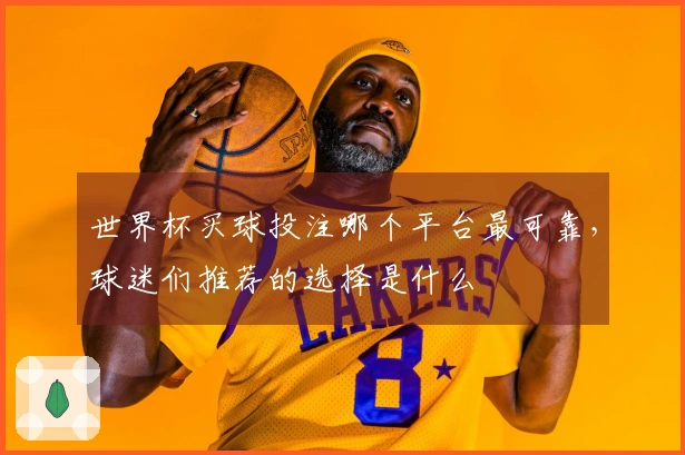 世界杯买球投注哪个平台最可靠，球迷们推荐的选择是什么