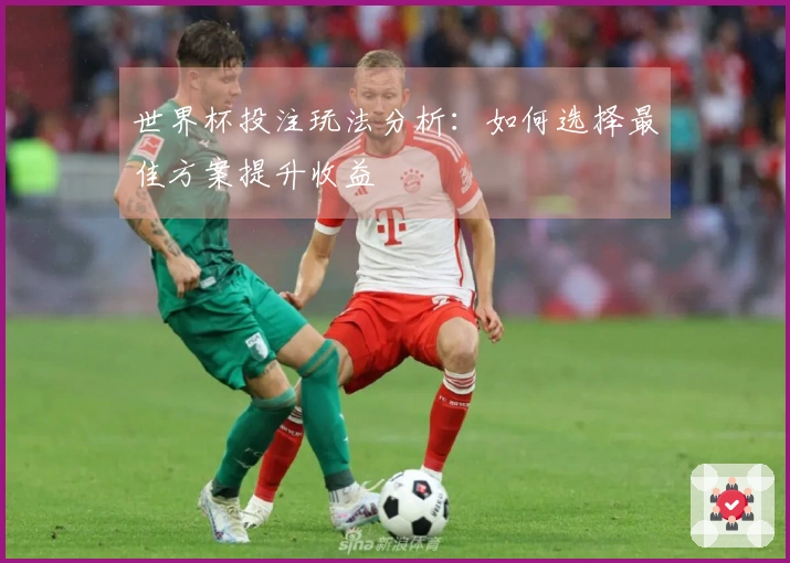 世界杯投注玩法分析：如何选择最佳方案提升收益
