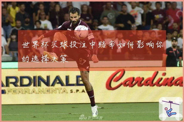 世界杯买球投注中赔率如何影响你的选择决策