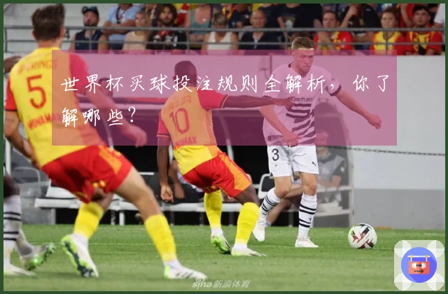 世界杯买球投注规则全解析，你了解哪些？