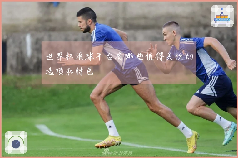 世界杯滚球平台有哪些值得关注的选项和特色