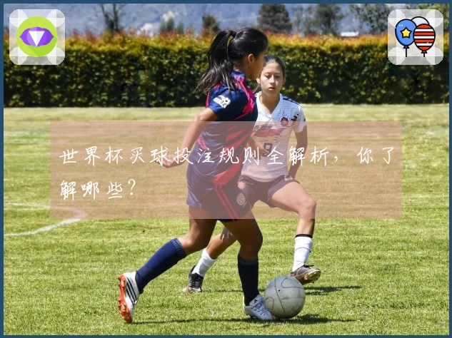 世界杯买球投注规则全解析，你了解哪些？