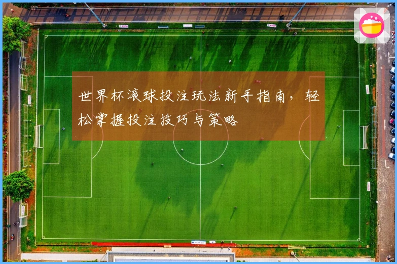 世界杯滚球投注玩法新手指南，轻松掌握投注技巧与策略