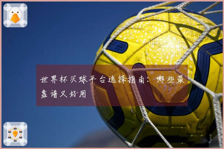 世界杯买球平台选择指南：哪些最靠谱又好用